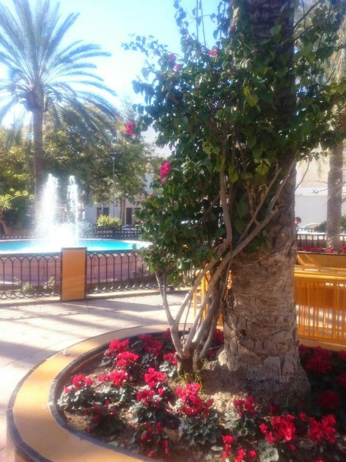 Apartments Torrevieja Buitenkant foto